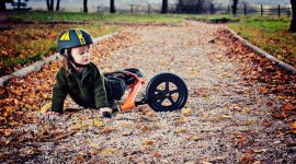 ביטוח תאונות אישיות לתלמידים