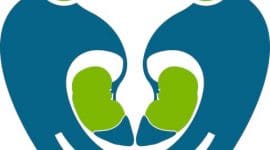 זכויות לאחר השתלת כליה