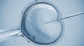 דילול עוברים