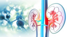 רשלנות רפואית אי ספיקת כליות