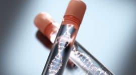 טוברוס סקלרוזיס